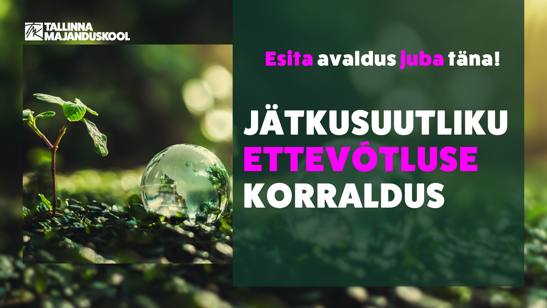 Tallinna Majanduskool-jätkusuutliku ettevõtluse korraldus-esita avaldus juba täna